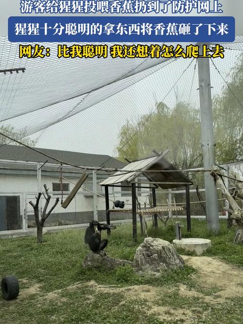 解决方案 第2页